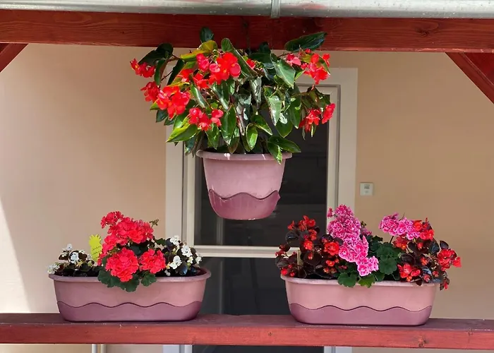 Do-ti Apartmanhaz 公寓 巴拉通雷勒